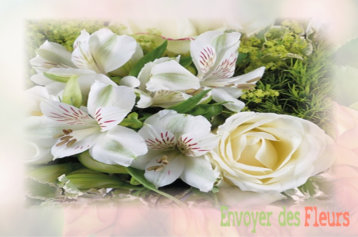 envoyer des fleurs à à DAMPIERRE-LES-CONFLANS
