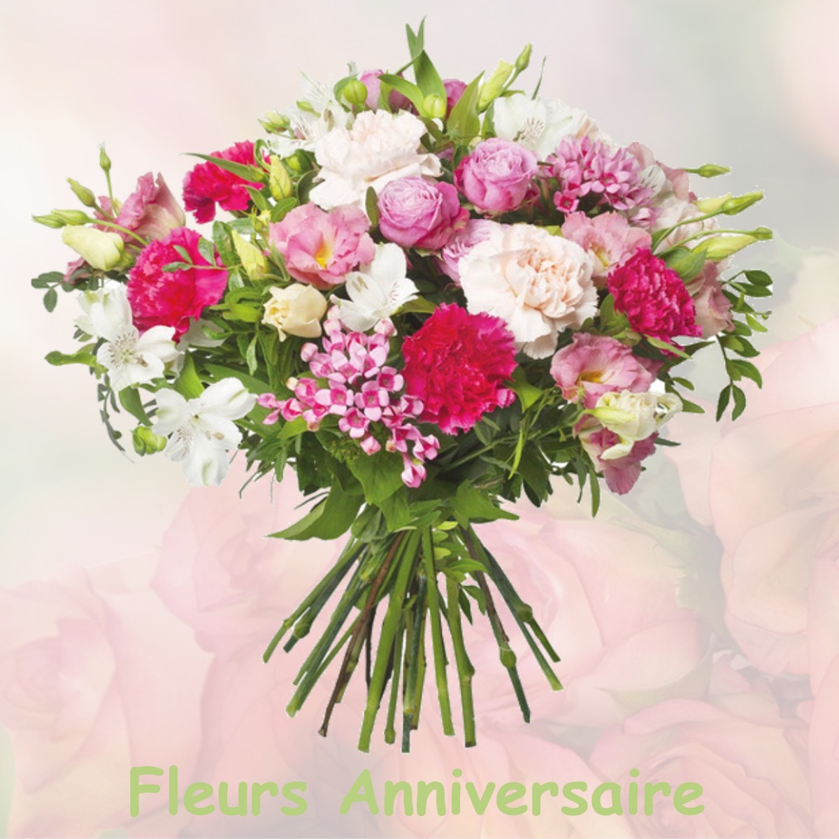 fleurs anniversaire DAMPIERRE-LES-CONFLANS